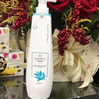 (RẺ NHẤT SHOPPEE)DẦU GỘI ĐẦU SIÊU MỀM MƯỢT LEO PROSEE
