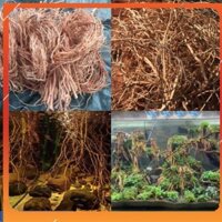 Rễ Rừng Set layout trang trí bể cá