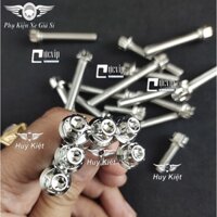 [Rẻ Vô Địch] Bộ Ốc Lốc Máy Salaya Inox 304 Cho Wave RS (14 Con) 4906