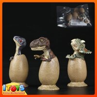 [RẺ VÔ ĐỊCH-CÓ SẴN]Trứng khủng long nở, trứng khủng long mô hình đồ chơi cho trẻ em