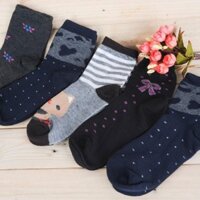[Rẻ Vô Địch] COMBO 12 ĐÔI TẤT NỮ DÀY GIÁ 109K