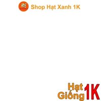 RẺ VÔ ĐỊCH combo 1kg hạt giống đậu rồng