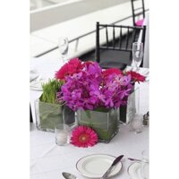 RẺ VÔ ĐỊCH - {HÀNG NHẬP KHẨU} Lọ hoa thủy tinh vuông 7cm x 7cm