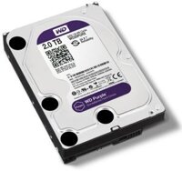 [Rẻ vô địch] Ổ cứng 2 TB Western Purpel (tím ) chuyên camera (DSS, SPC BH 36T)