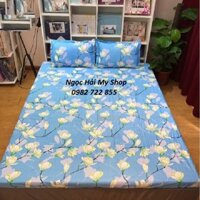 [RẺ VÔ ĐỊCH] Xả kho Bộ drap giường cotton poly giá rẻ Phong lan xanh (chọn mẫu)