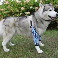 【Ready Stock】 Big Dog Clothes Elbow Pad Knee Joint Protection Thickend Anti-Wear Anti-Licking Big Dog Front Leg Joint Protection 7eic