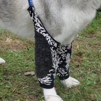 【Ready Stock】 Big Dog Anti-Wear Anti-Licking Elbow Support Adjustable Elastic Band Elastic Fabric Front Leg Joint Protection Medium Large Dog Elbow Pad Sleeves S6EV