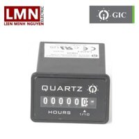 Rectangular Bezel ( Hour Meter) 10-80 VDC GIC LD11F1