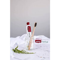 Red Seal Herbal Fresh Toothpaste 100g - Kem đánh răng hàng đầu New Zealand