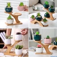 Redsun2 Khay tre trồng cây tinh tế 3 lớp cho cây cảnh mọng nước bền 1 cái
