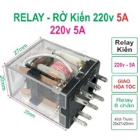 Relay rơ le Kiến 8 chân 220v - 5A trong suốt