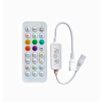 REMOTE ĐIỀU KHIỂN LED FULL MÀU IC 1916 ,8206,16703