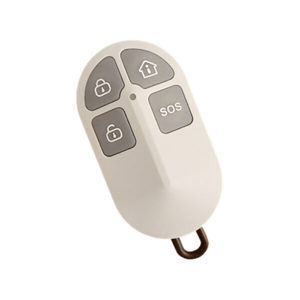 Remote không dây Picotech PCA-13B