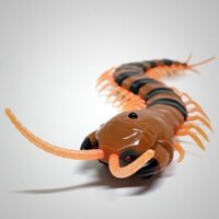 Rết điều khiển từ xa giống thật RICKY