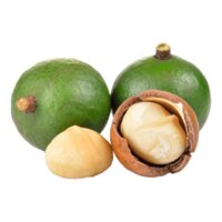 Retrospec Quip Skateboard 22.5" Classic Retro Plastic Cruiser Complete Skateboard