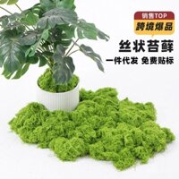 Rêu nhân tạo, cỏ giả, cây cảnh, cảnh quan, tiểu cảnh, cỏ thủy sinh trong chậu, cảm giác cao cấp