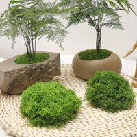Rêu nhân tạo DIY, rêu xanh nhân tạo, cỏ bãi cỏ, trang trí cây xanh, cảnh quan, bonsai, bề mặt rêu giả giống như lụa