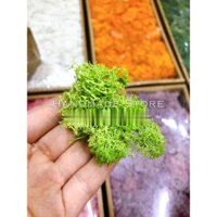 Rêu nhân tạo (Hộp 500gr)