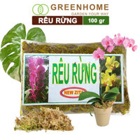 Rêu rừng, bao 100gr, đã qua xử lý, giữ ẩm tốt, chuyên phong lan, kiểng lá Greenhome - RÊU RỪNG 100GR