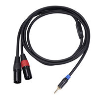 REXLIS 3.5mm TRS to Dual XLR Male Audio Cable 1 to 2 Stereo Audio Adapter Cable Splitter Cable Connectors