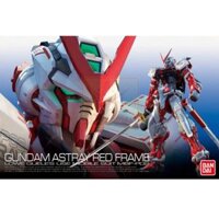 RG 19 MBF-P02  Astray Red Frame