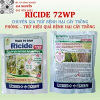 RICIDE 72WP 500G