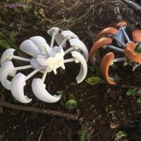 Rightfeel Pumpkin Spider Transformer Đồ Chơi Mới Bí Ngô Nhện Biến Hình Mới
