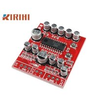 RIRIHI 1 Bảng Mạch Khuếch Đại Âm Thanh BA3884F Tự Lắp Ráp
