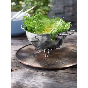 Rổ inox WMF 24cm