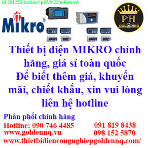 Rơ le bảo vệ dòng rò Mikro N301-240AD