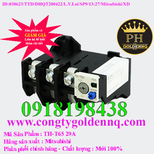 Rơ le nhiệt Mitsubishi TH-T65 29A