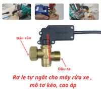Rơ le tự ngắt máy rửa xe cao áp, máy rửa xe dây đai ( rơ le máy curoa)