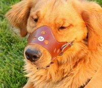 Rọ Mõm Chó Bằng Da