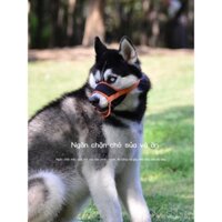 Rọ mõm chó để ngăn chó cắn và ăn, bịt mõm chó cưng, mặt nạ chống chó cắn, nút chặn chó sủa bên hông