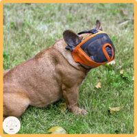 Rọ mõm chó mõm ngắn PAW nhiều kích cỡ - Mây Pet Shop