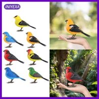 Robot Chim Điện Tử Trang Trí Chim Phong Trào Thực Tế Hình Đồ Chơi Parakeet