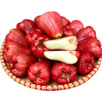 Roi đỏ An Phước 8-12 quả/kg, (Không áp dụng tỉnh)