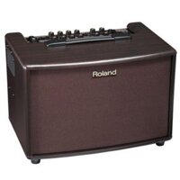 Roland AC-60 Acoustic Guitar Amplifier