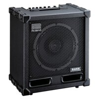 ROLAND Bass CUBE-120XL