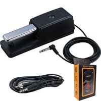 Roland DP-10 Real-Feel Piano-Style Sustain Pedal with Half-Damper Control and Non-Slip Rubber Plate + 3.5mm Aux Cable + Magnet (DP10