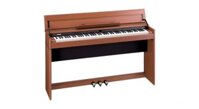 ROLAND DP-990