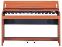 ROLAND DP-990