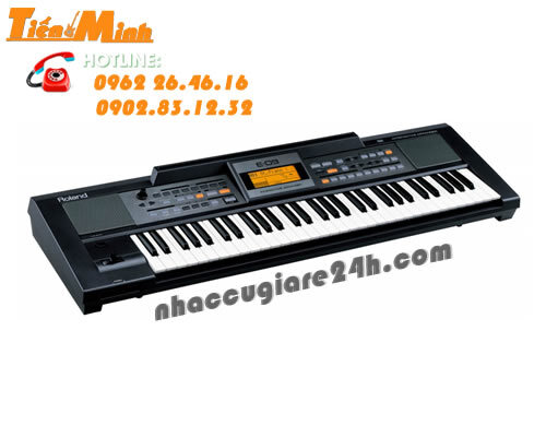 Đàn Organ Roland E09 (E-09) - Màu W