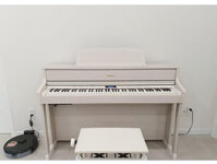 ROLAND HP-605