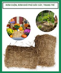 Rơm cuộn, rơm khô cuộn phủ gốc cây, trang trí