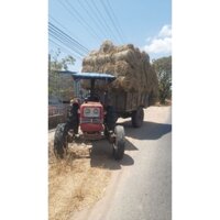 Rơm khô bình thuận loại 1