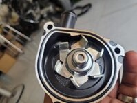 Ron cao su Bơm nước mát Honda CB400 9x Vtec Revo 92-2023 và các dòng xe tương ứng