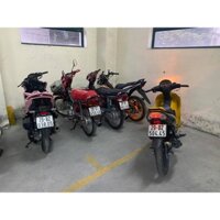 RON CAO SU TAY DẦU WAVE Zx WAVE THÁI 110