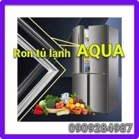 Ron cửa cho tủ lạnh Aqua Model  AQR -U185AN(SU) Loại bắt vít