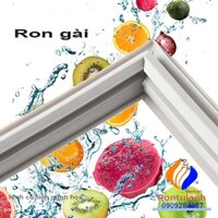 RON CỬA NGĂN ĐÁ R-W660FG9X/ R-W660EG9X